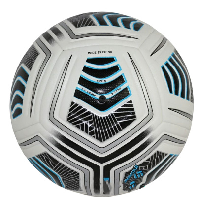 Футбольный мяч № 5  Ingame Move 1